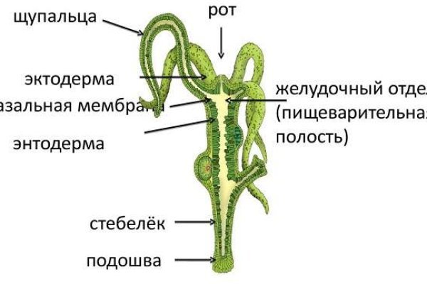 Кракен онион