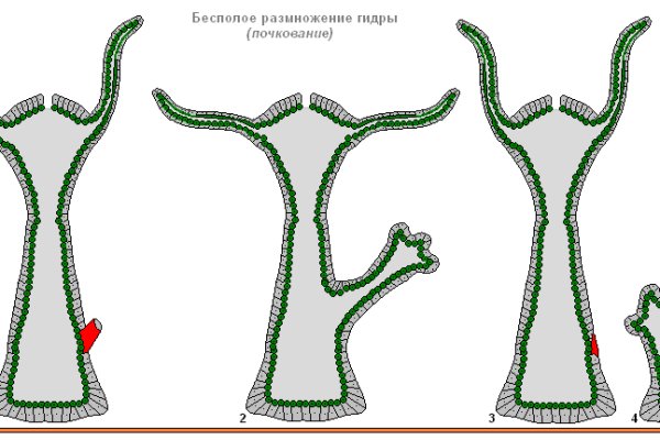 Kraken зеркало рабочее сегодня kraken6.at kraken7.at kraken8.at