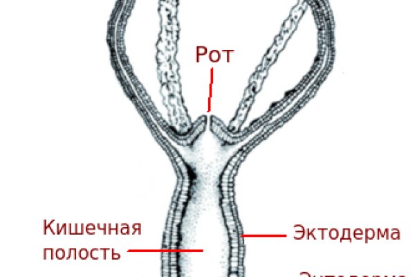 Сайт BlackSprut в tor ссылка